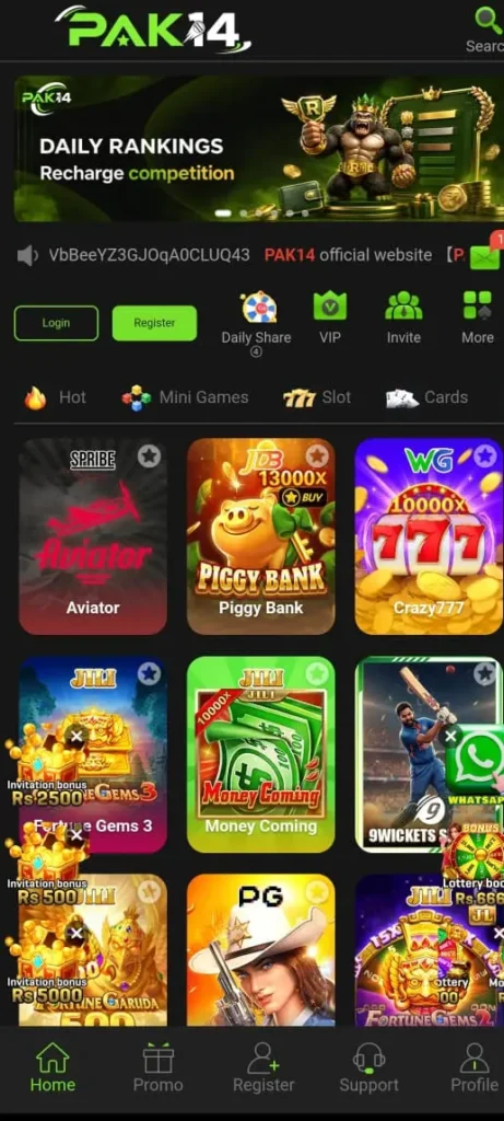 Pak14 Game