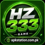 Hz333 Game